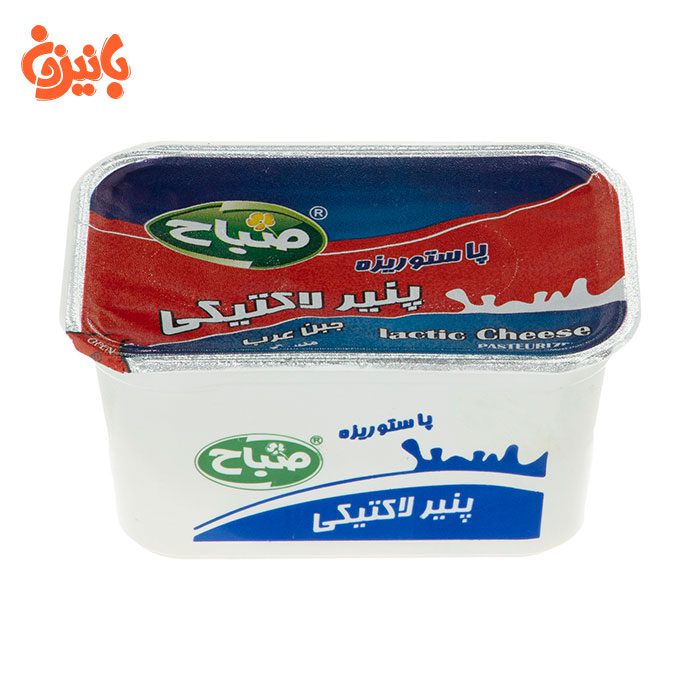 پنیر لاکتیکی پنیر لاکتیکی